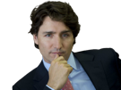 trudeau-bg-president-canada-canadien-cuck-justin-quebec