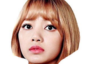 lisa carre 8 saison 5