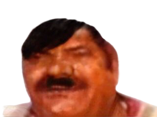 debile cash frocard froc net slibard ent hitler benzemonstre allemand peintre autrichien