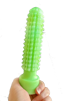 god-cactus