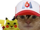 m6u-pokemon