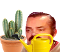 risitas-arrose-cactus-arrosoir-pot-fleur