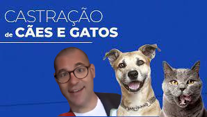 golem pikouz vaccin selection naturelle