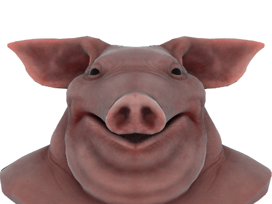 Sticker cochon ent par iswytz