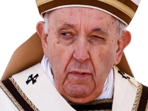 pape francois i papa franciscus pontifex maximus romanorum pastor domini gregis sa saintete vatican bergoglio