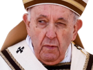 pape-francois-i-papa-franciscus-pontifex-maximus-romanorum-pastor-domini-gregis-sa-saintete-vatican-bergoglio