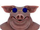 cochon lunette bleu golem
