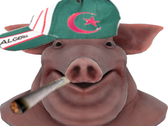 Sticker cochon qlf algerie par iswytz