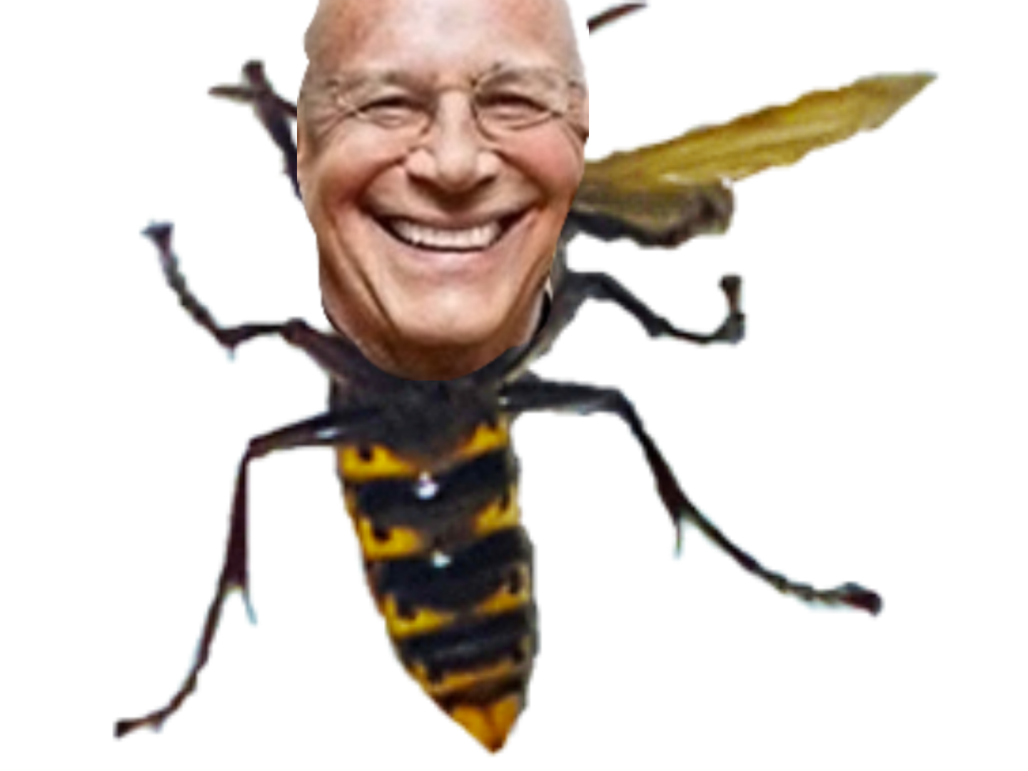 klaus schwab abeille guepe juif nwo golem il ne faut pas avoir peur