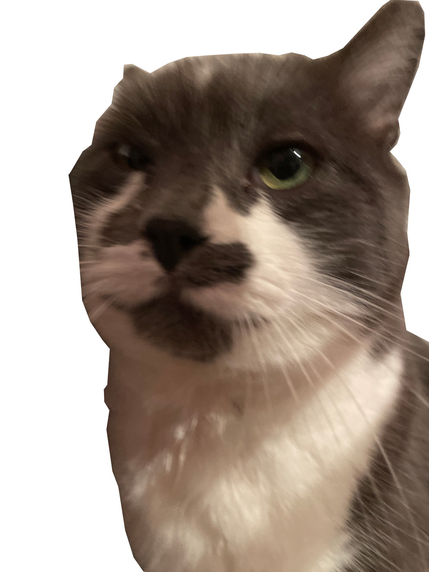 chat tare golem