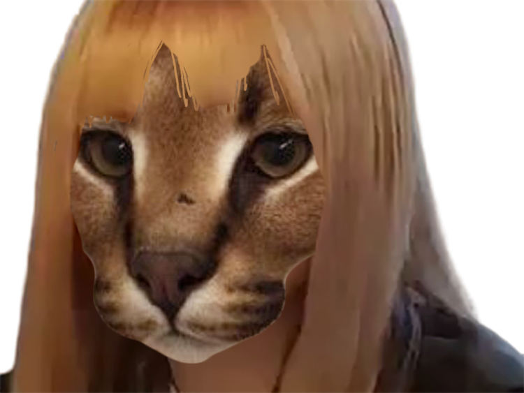 lisa caracal ok