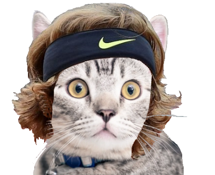 rublev chat tennis andrey