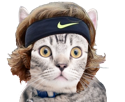 rublev-chat-tennis-andrey