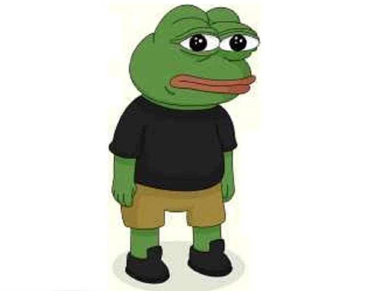 pepe grenouille hein perdu regarde quoi frog risitas jesus ahi issou t shirt vert