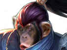champion-yasuo-chimpanze-tinnova-league-macaque-hasagissou-singe-of-bonobo-lol-legends