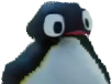 autiste eco dedi docweed pingu