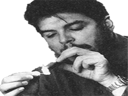 other cigar cheguevara guevara