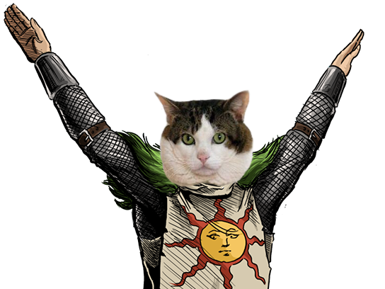 souls dark solaire chat