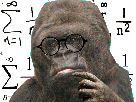 intelligence-other-science-gorille-qi-koko