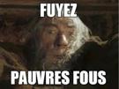 pauvre-fuyez-other-fou