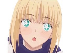 saber etoile zero politic fate