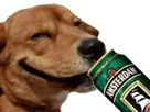 risitas-chien-alpha-biere