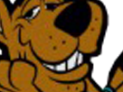 smile-other-scooby-chien