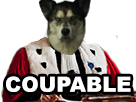 deter chien juge coupable risitas