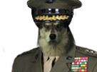risitas-chien-general-soldat-deter