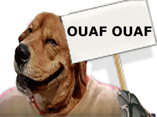 ouaf dog chien
