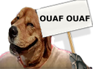 ouaf-other-dog-chien