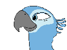 eco-rio-perla-blu-spix-macaw-other