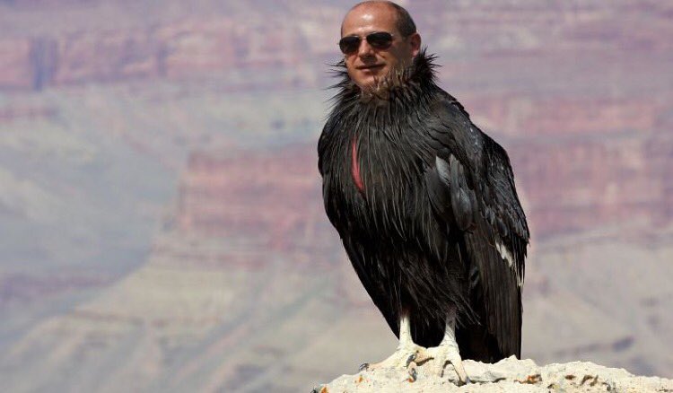 neymar henrique antero risitas