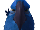 other-spix-macaw-blu-rio-regard-deter