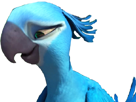 snif-other-macaw-blu-perla-rio-spix
