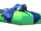 rio-pls-peur-blu-other-macaw-spix-deltaplane