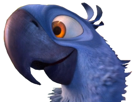 spix-other-rio-simple-macaw-blu
