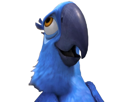 macaw-rio-cherche-blu-other-spix
