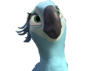 macaw-other-rio-blu-simple-perla-spix