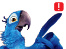 other-blu-rio-spix-plume-ddb-macaw