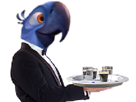 blu-macaw-bar-rio-other-serveur-spix