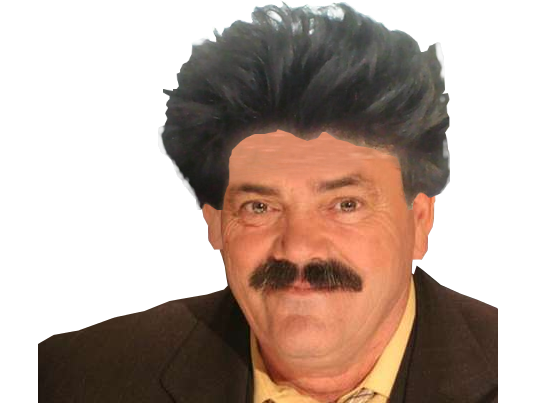 risitas cheveux bowie