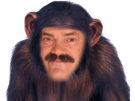 singe-risitas-chimpanze