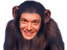 adams-kev-kevin-chimpanze-singe-smadja