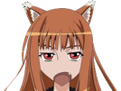 wolf-holo-and-spice