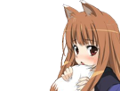 spice-and-wolf-holo
