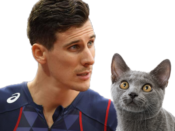 chat risitas bosse pierre pab ambroise