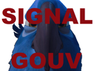 macaw-blu-gilbert-other-signal-gouv-rio-spix-deter