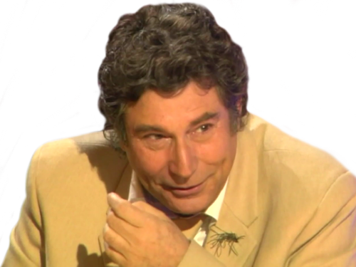 question jesus 1080 risitas hd