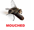mouche-mouched-blacked-migrant-other